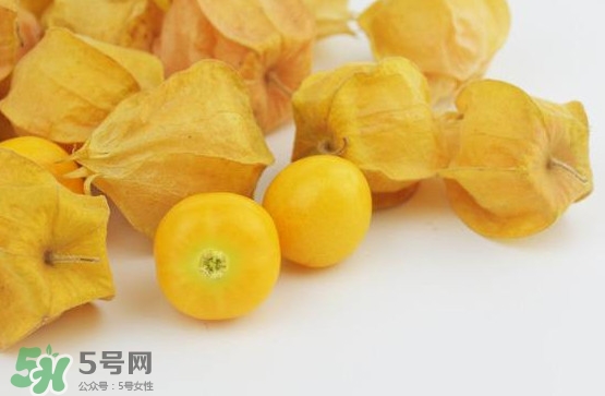 姑娘果是寒性嗎？姑娘果是涼性還是熱性？