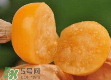 姑娘果是寒性嗎？姑娘果是涼性還是熱性？