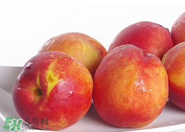 吃油桃會(huì)拉肚子嗎？拉肚子可以吃油桃嗎？