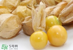 姑娘果什么時候成熟？姑娘果什么時候上市