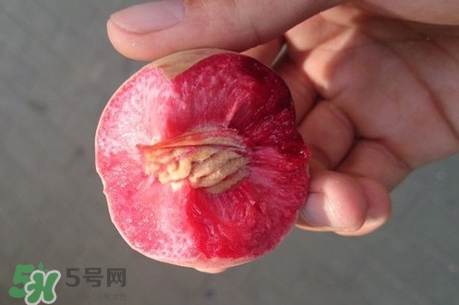 血桃產(chǎn)地在哪？血桃哪些地方產(chǎn)