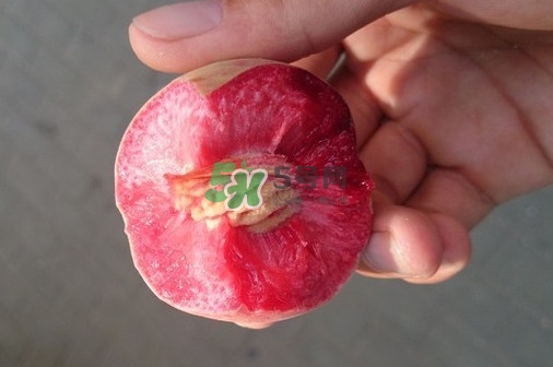 血桃多少錢一斤2017？血桃哪個(gè)品種最好吃
