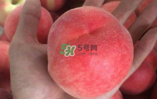 紅不軟桃?guī)自路莩墒?？紅不軟桃什么時候成熟