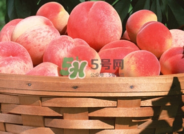血桃多少錢一斤2017？血桃哪個(gè)品種最好吃