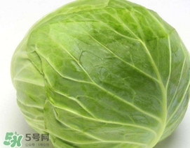 圓白菜是什么菜？圓白菜能生吃嗎？