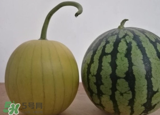 四色瓤西瓜是轉(zhuǎn)基因嗎？四色瓤西瓜是不是轉(zhuǎn)基因？