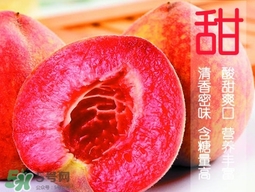 血桃?guī)自鲁墒?？血桃有什么營(yíng)養(yǎng)價(jià)值