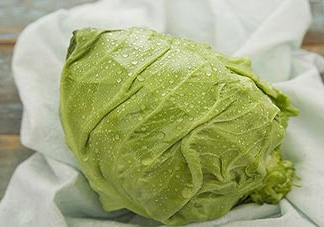 圓白菜是包菜嗎？圓白菜是大頭菜嗎？