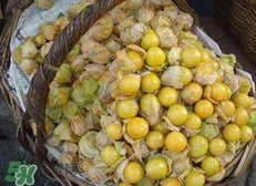 花姑娘水果怎么吃？花姑娘水果吃之前要洗嗎？
