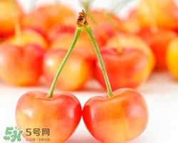 孕婦可以吃櫻桃干嗎？孕婦吃櫻桃干好嗎有什么危害？