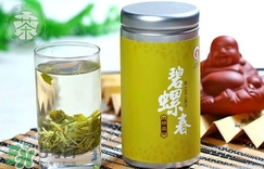 碧螺春要怎么泡才好？碧螺春要怎么泡好喝？