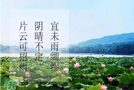 夏至是入伏嗎？夏至后多久入伏？
