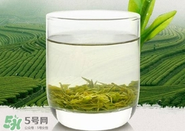 如何鑒別信陽(yáng)毛尖好壞？信陽(yáng)毛尖品鑒十步法
