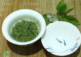 信陽毛尖什么牌子好？信陽毛尖哪個(gè)品牌好