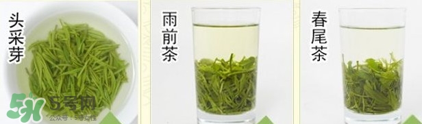 信陽毛尖什么牌子好？信陽毛尖哪個(gè)品牌好