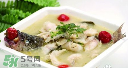 海鱸魚多少錢一斤2017？淡水鱸魚多少錢一斤？
