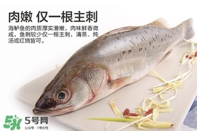 鱸魚是海鮮嗎？鱸魚是不是海鮮？