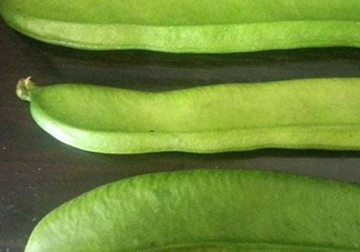 刀豆是四季豆嗎？刀豆和四季豆的區(qū)別