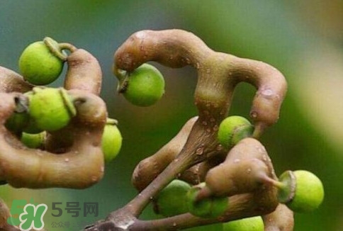 萬壽果多少錢一斤2017？萬壽果什么時(shí)候成熟