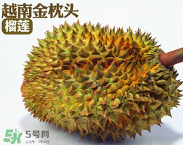 紅心榴蓮多少錢一斤？紅心榴蓮為什么這么貴？