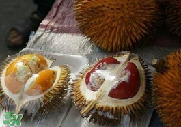 紅心榴蓮多少錢一斤？紅心榴蓮為什么這么貴？