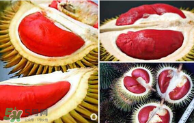紅心榴蓮叫什么？紅心榴蓮是哪個(gè)國(guó)家產(chǎn)的？