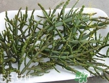 螃蟹腳茶多少錢一斤2017？螃蟹腳茶的價格