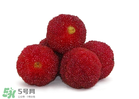 吃完楊梅不能吃什么？吃完楊梅可以吃別的水果嗎？