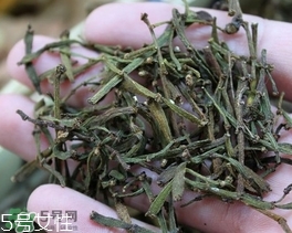 螃蟹腳茶哪些人不能喝？螃蟹腳茶哪些人能喝
