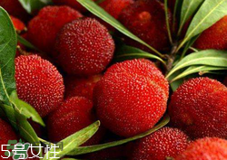 ?楊梅和李子能一起吃嗎？楊梅和李子一起吃會(huì)中毒嗎？