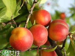 ?楊梅和李子能一起吃嗎？楊梅和李子一起吃會(huì)中毒嗎？