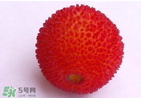 楊梅籽可以吃嗎？吃楊梅籽有什么好處？
