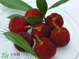 楊梅籽可以吃嗎？吃楊梅籽有什么好處？