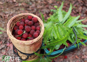 楊梅籽可以種嗎？楊梅籽怎么種小盆栽?？