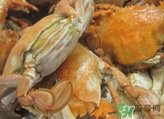 花蓋蟹死了能吃嗎？花蓋蟹死多久之內(nèi)能吃？