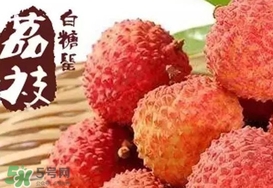 白糖罌荔枝多少錢一斤2017？白糖罌荔枝價格