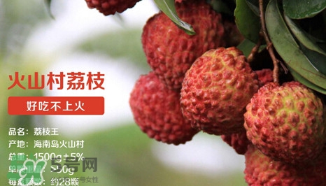 荔枝王是什么品種？荔枝王多少錢一斤2017？