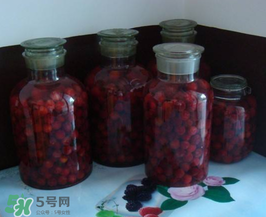 泡楊梅酒用什么瓶子？楊梅酒可以用塑料瓶泡嗎？