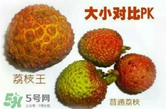 荔枝王好吃嗎？荔枝王和妃子笑的區(qū)別