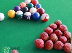 荔枝王的產(chǎn)地是哪里？荔枝王產(chǎn)地在哪兒