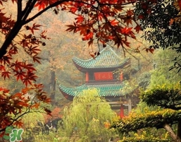 7月份去長(zhǎng)沙穿什么？七月份去長(zhǎng)沙穿什么衣服
