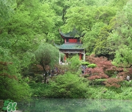 7月份去長(zhǎng)沙穿什么？七月份去長(zhǎng)沙穿什么衣服