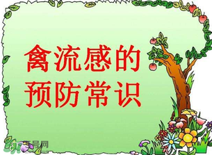 6月有禽流感嗎？2017年6月有禽流感嗎？