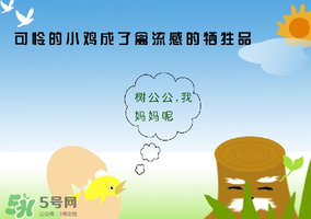 6月有禽流感嗎？2017年6月有禽流感嗎？