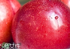 桃駁李是轉基因嗎？桃駁李是不是轉基因