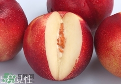 桃駁李是油桃嗎？桃駁李和油桃的區(qū)別