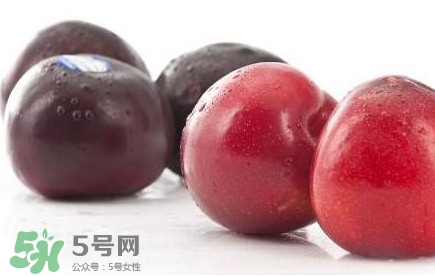 紅布林和黑布林哪個好？紅布林與黑布林的區(qū)別