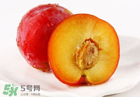 紅布林和黑布林哪個好？紅布林與黑布林的區(qū)別