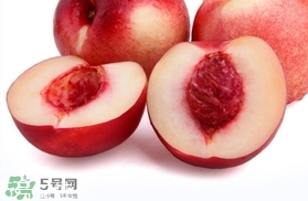 桃駁李是油桃嗎？桃駁李和油桃的區(qū)別