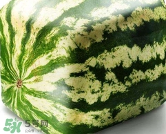 方形西瓜是如何種出來的？方形西瓜是怎么長成的